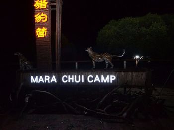 Hotel Mara Chui Camp Ololaimutiek Esterno foto
